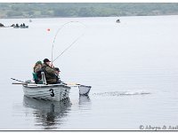 2014-05-22 -OE2A0427